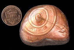 agate