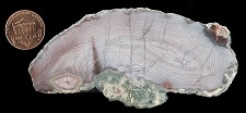 agate