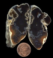 agate