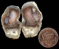 agate