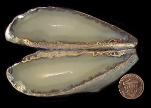 agate