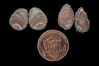 agate