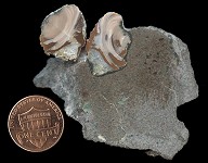 agate