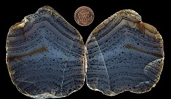 agate