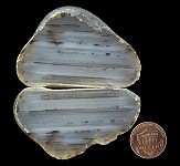 agate