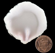 datolite
