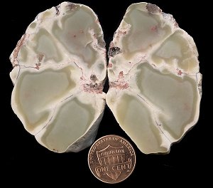 datolite