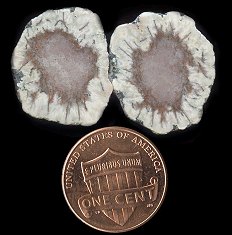 datolite