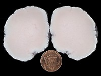 datolite